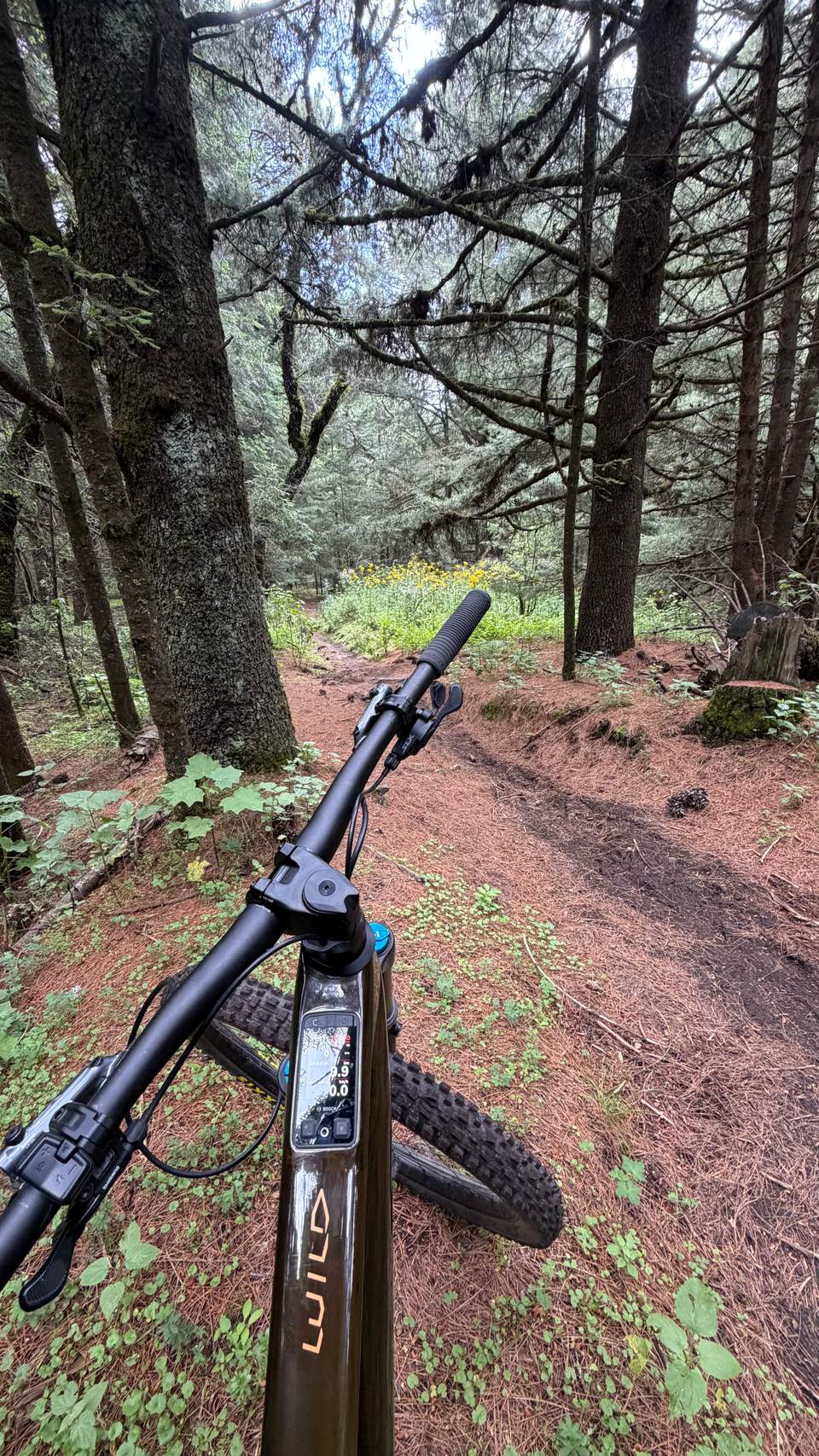 Orbea Wild Riding