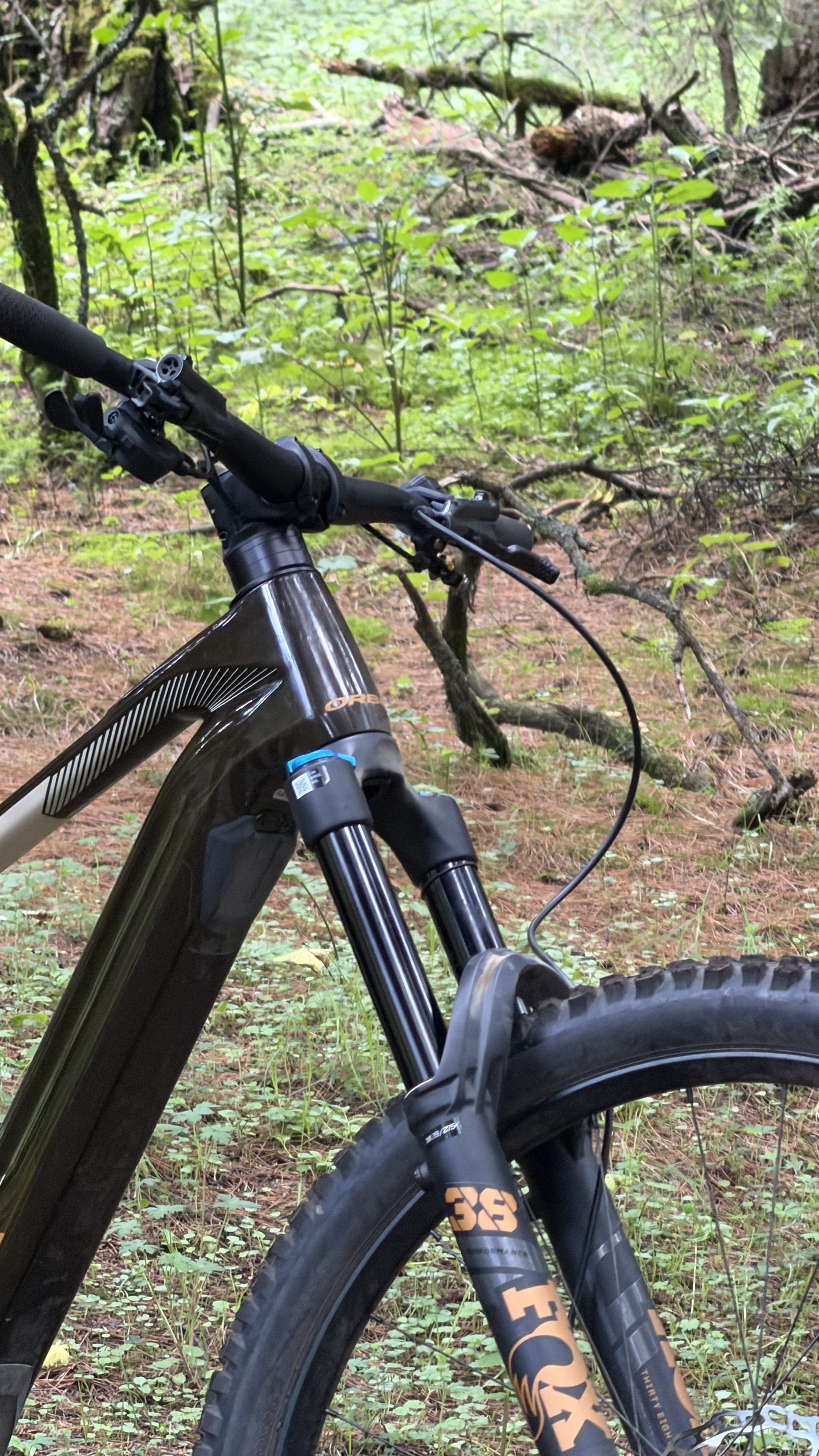 Orbea Wild Fox 38