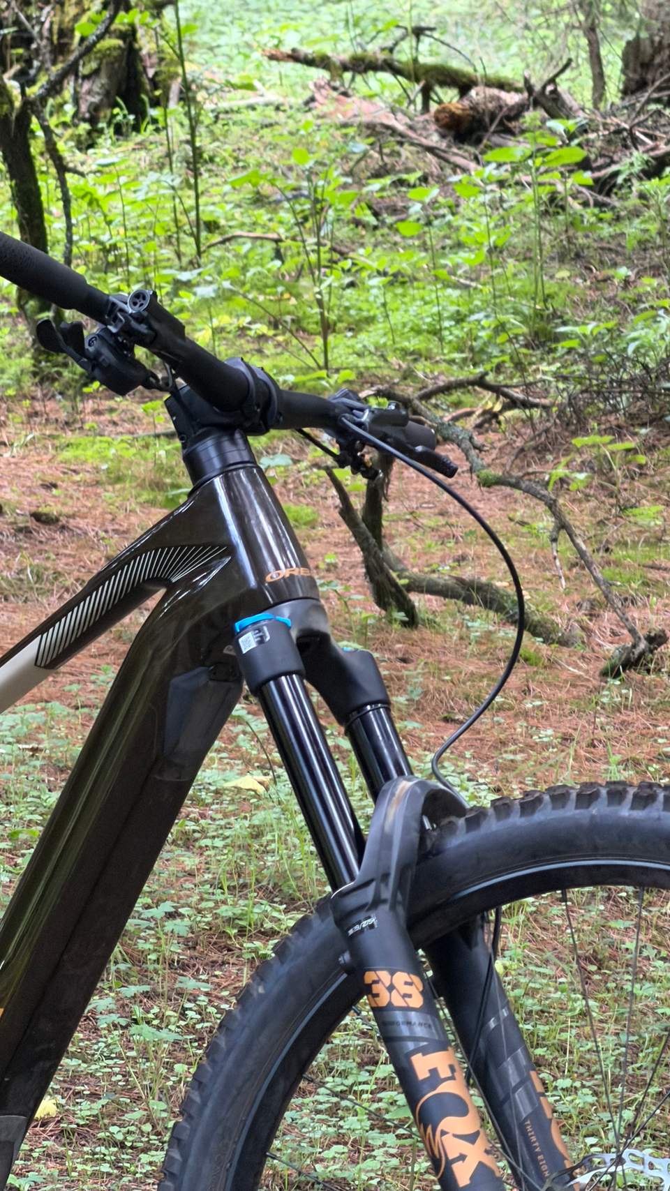 Orbea Wild Fox 38