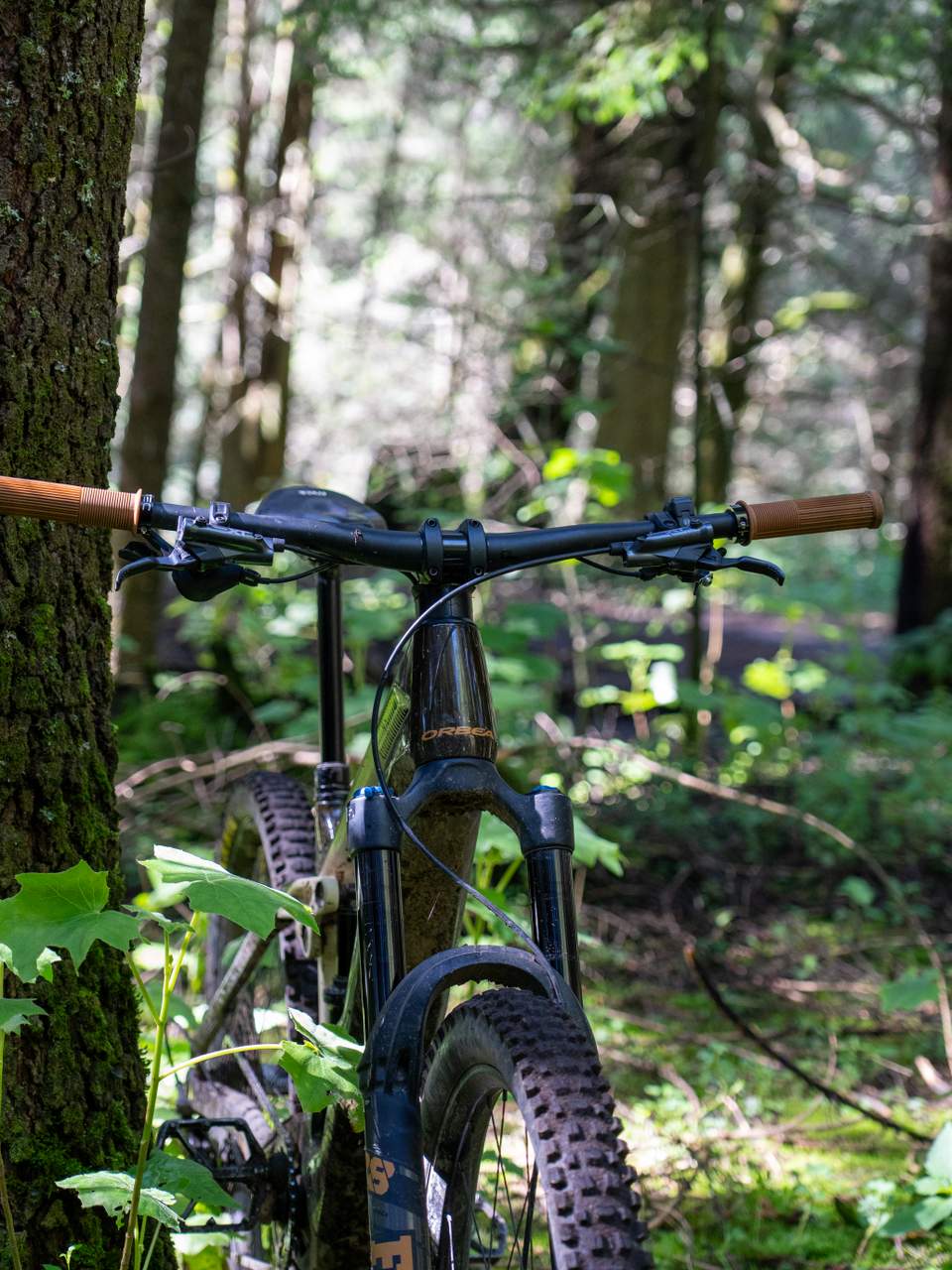 Orbea Wild