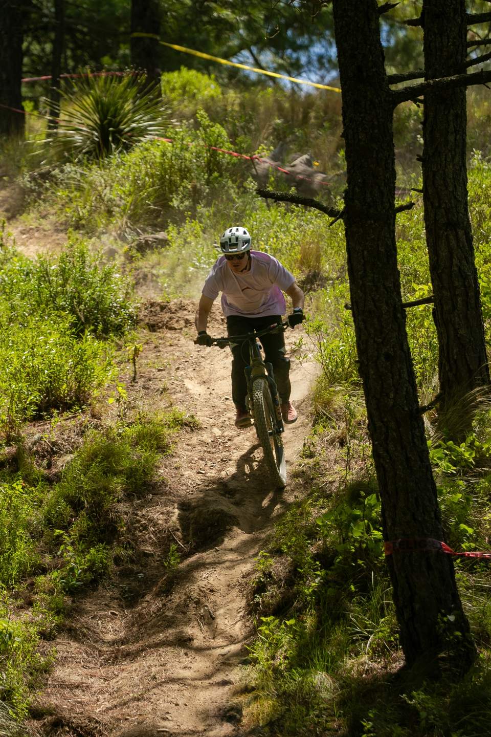 zautrails 1