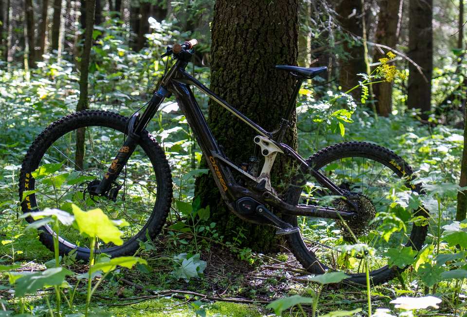 Orbea Wild M10 2026 — Review desde el trail y sin filtros